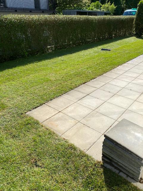 Frisch gemähter Rasen mit sauberen Kanten